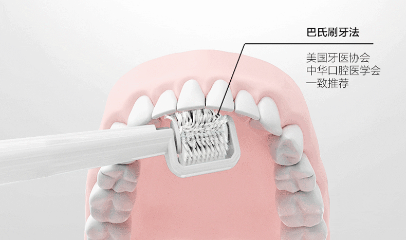 Why Tartar Builds Up Behind Your Lower Teeth: What Daily Brushing Can and Cannot Do